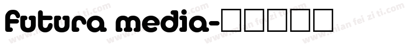 futura media字体转换